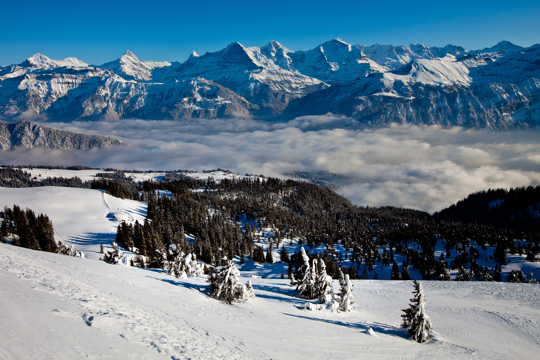 12_6820_Niederhorn_bydavidbirri_web