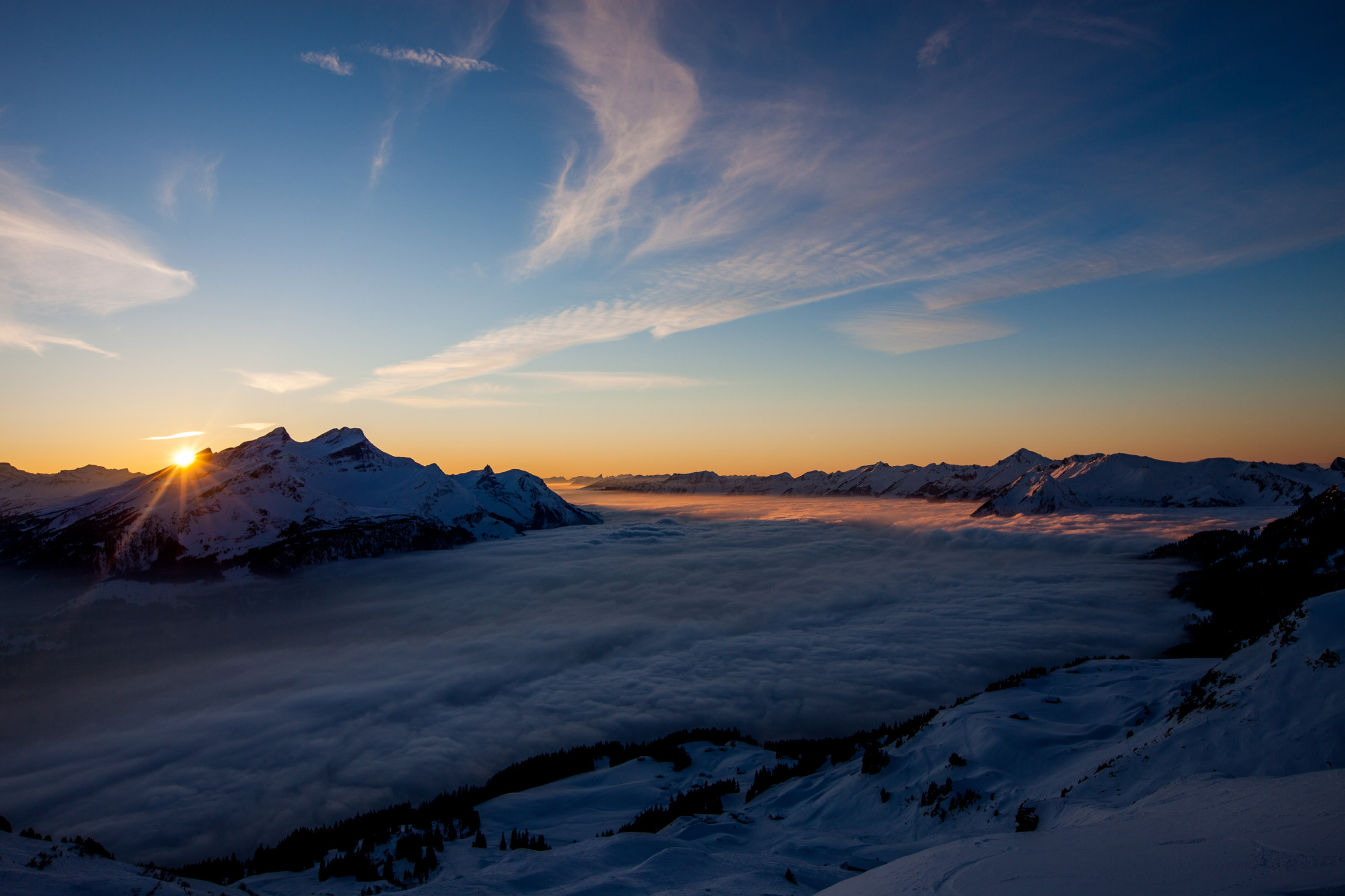 IMG_0536_by.davidbirri_web